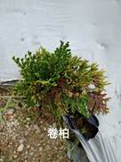 taptap官方网站