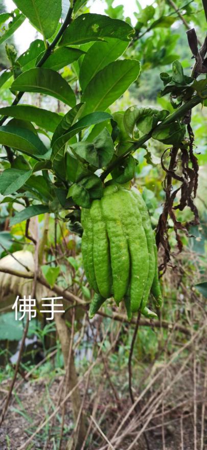 taptap官方网站