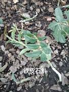 taptap官方网站