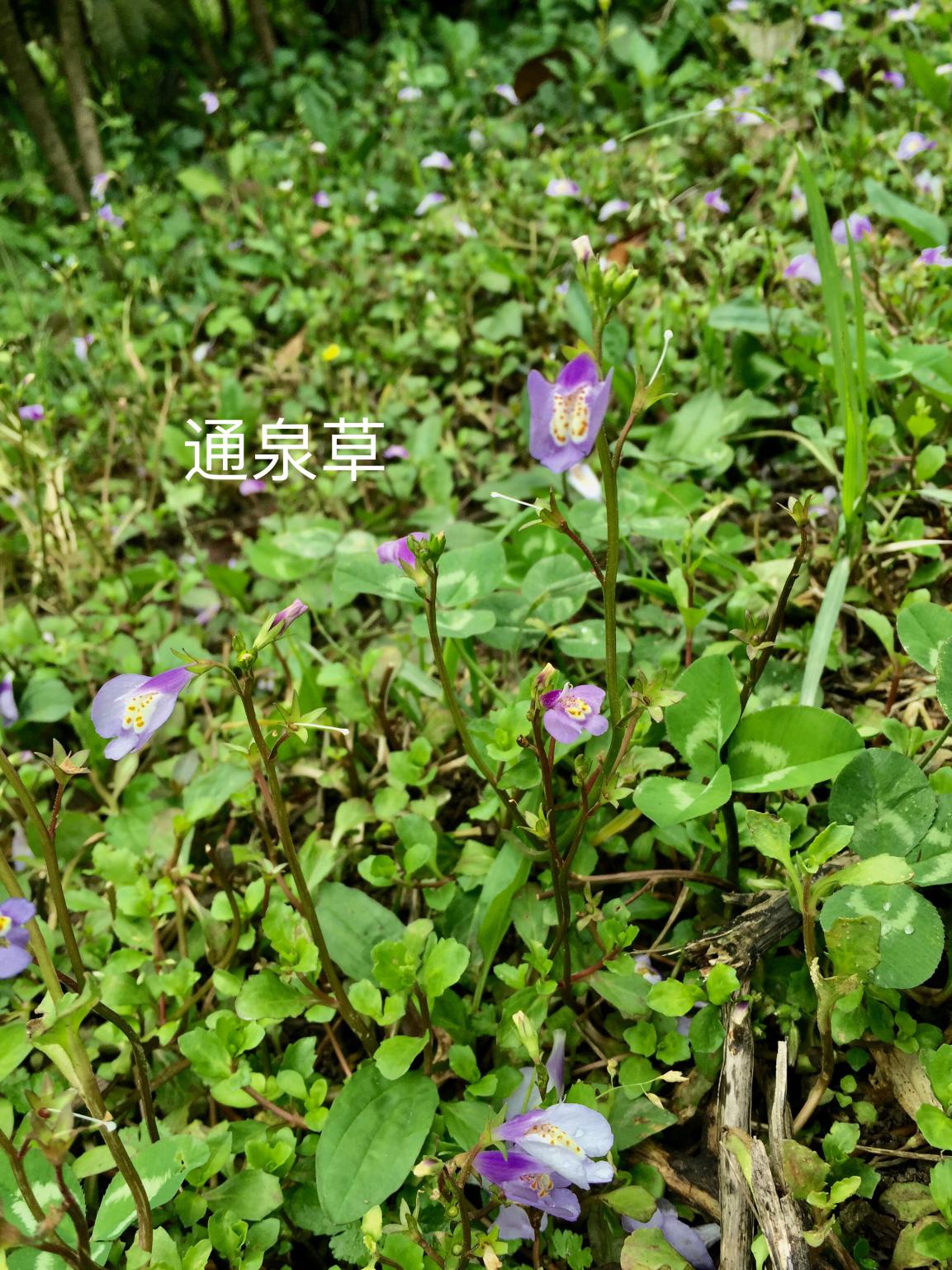 taptap官方网站