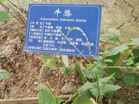 taptap官方网站