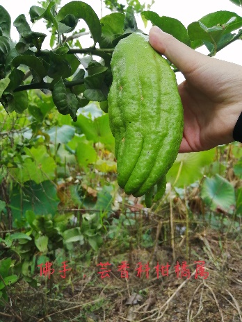 taptap官方网站