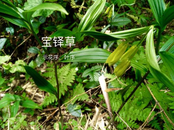 taptap官方网站