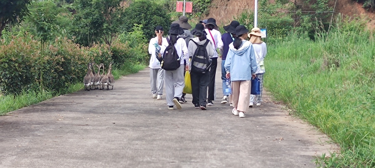 taptap官方网站