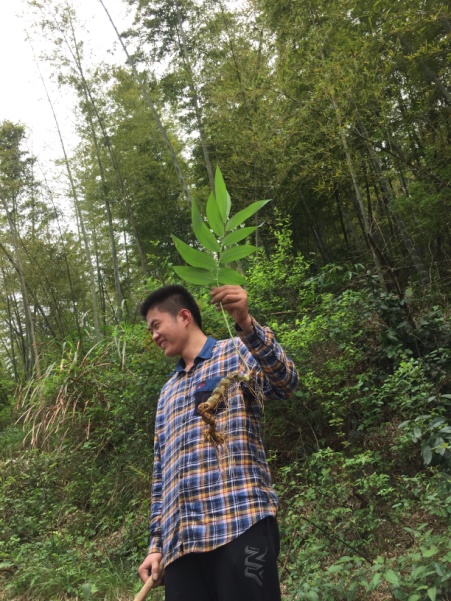 taptap官方网站