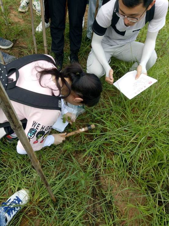 taptap官方网站