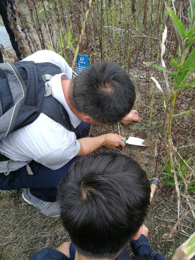 taptap官方网站