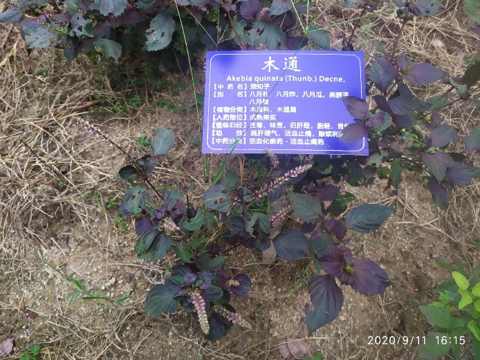 taptap官方网站