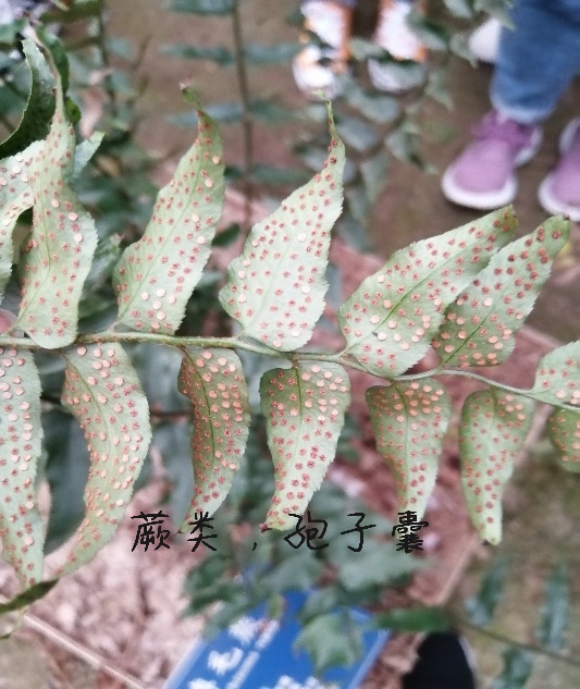 taptap官方网站