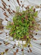 taptap官方网站