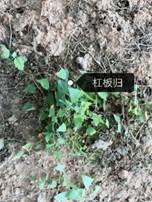 taptap官方网站