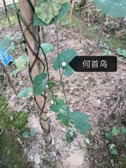 taptap官方网站