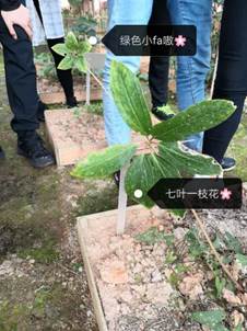 taptap官方网站