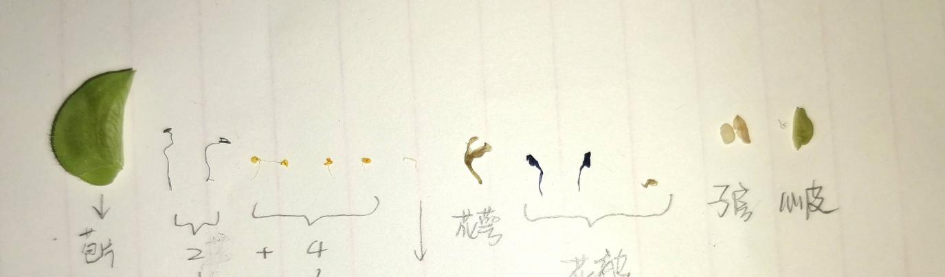 taptap官方网站