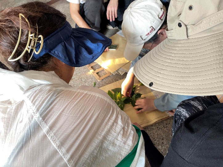 taptap官方网站