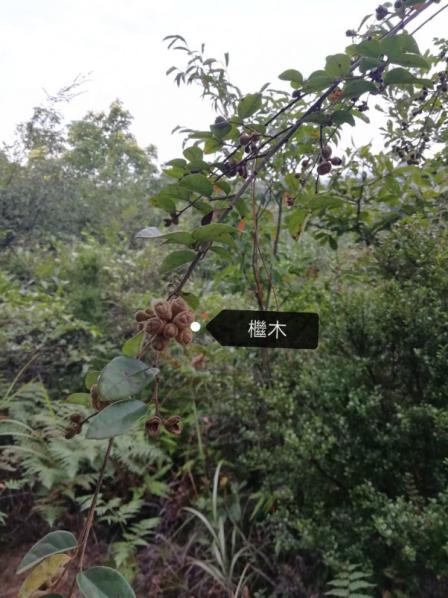 taptap官方网站