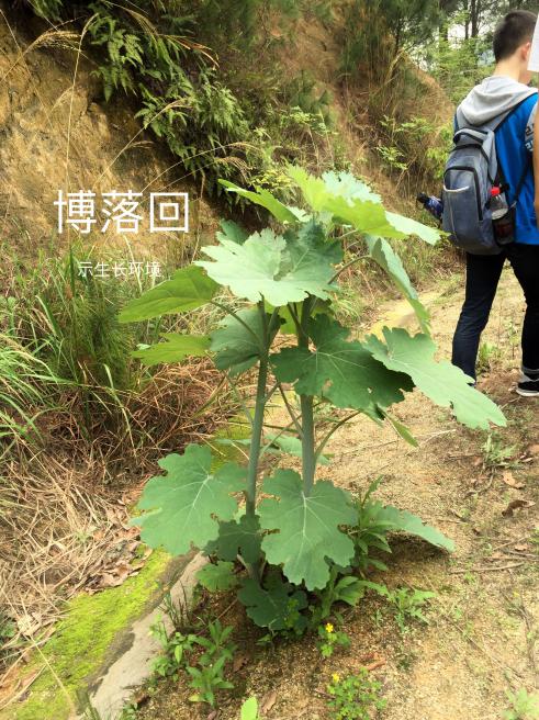 taptap官方网站