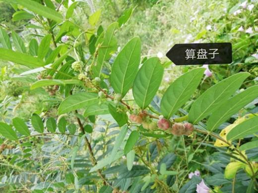 taptap官方网站