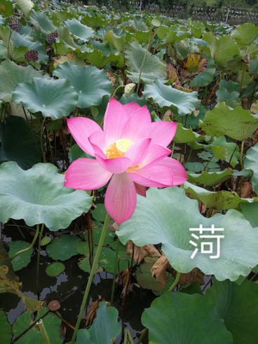 taptap官方网站