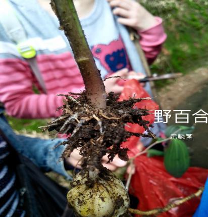taptap官方网站