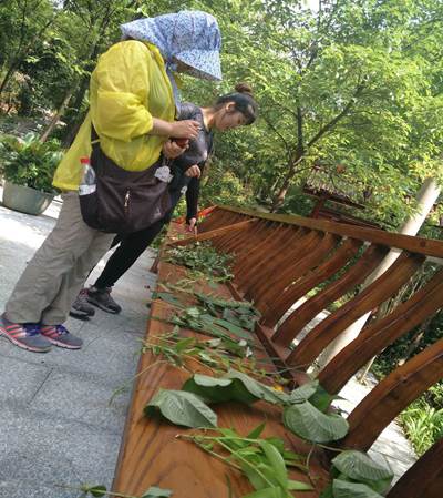 taptap官方网站