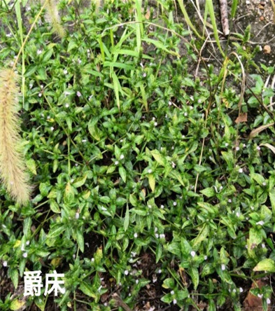 taptap官方网站