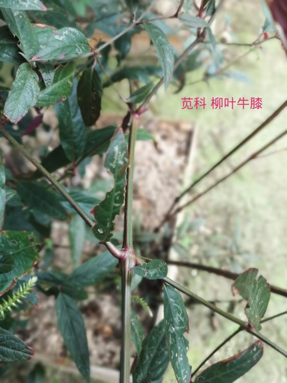 taptap官方网站