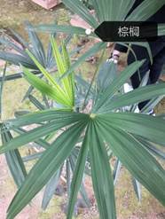 taptap官方网站