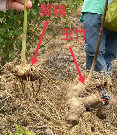 taptap官方网站