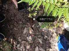 taptap官方网站