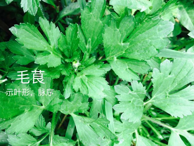 taptap官方网站