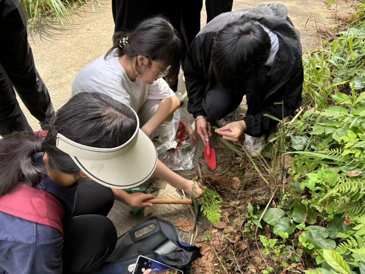 taptap官方网站