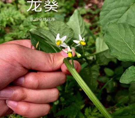taptap官方网站