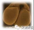 taptap官方网站