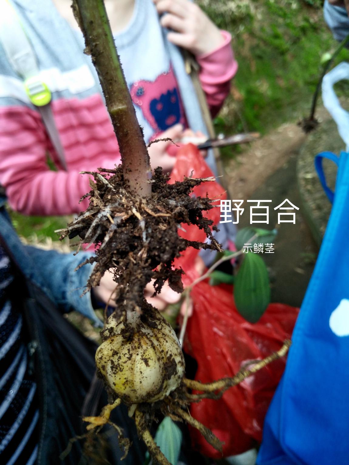 taptap官方网站