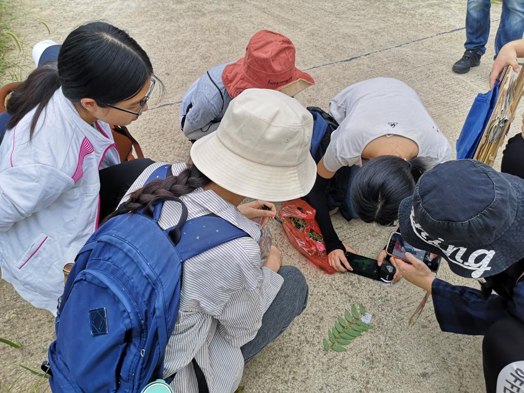 taptap官方网站