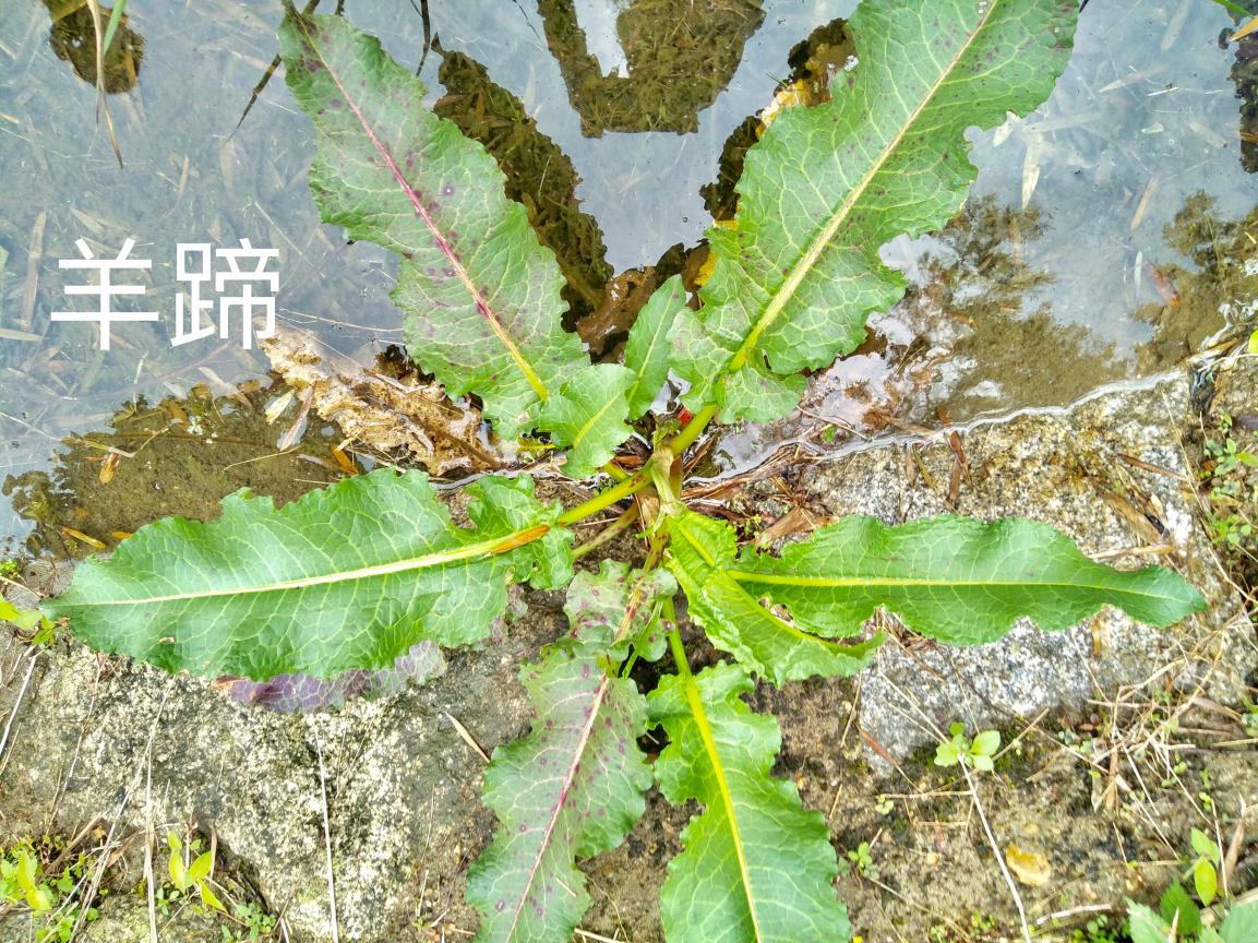 taptap官方网站