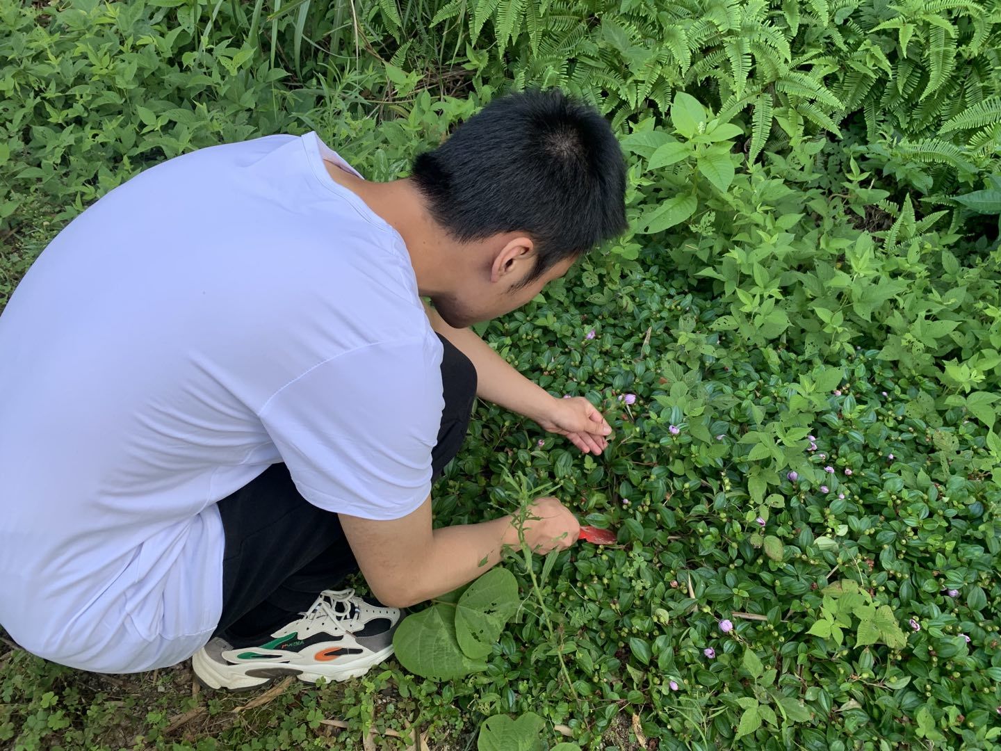 taptap官方网站