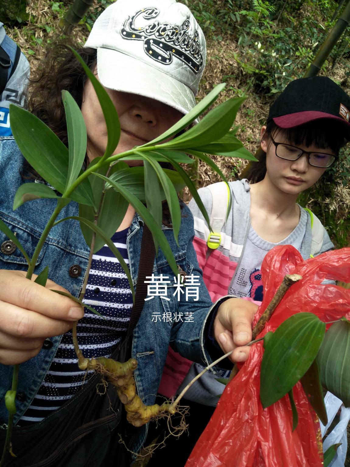 taptap官方网站