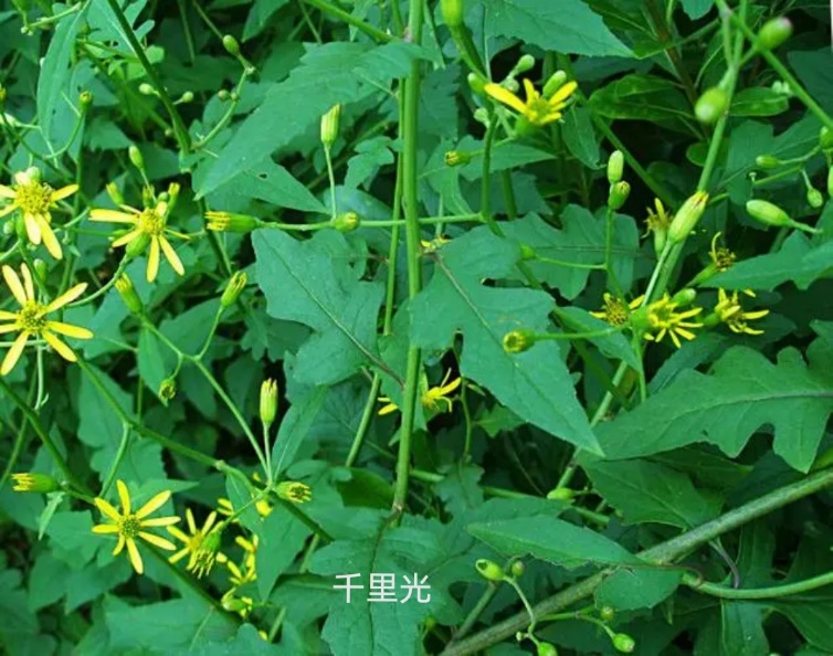 taptap官方网站