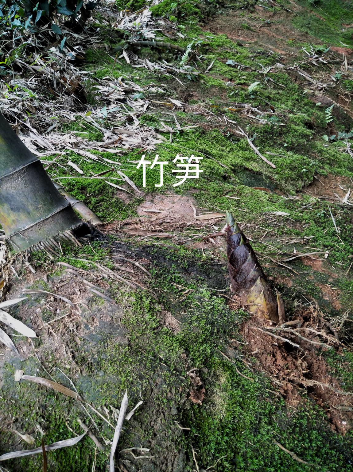 taptap官方网站
