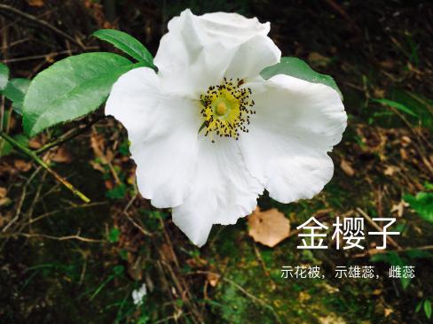 taptap官方网站
