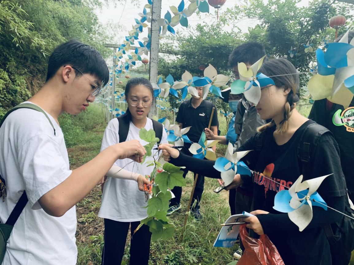 taptap官方网站