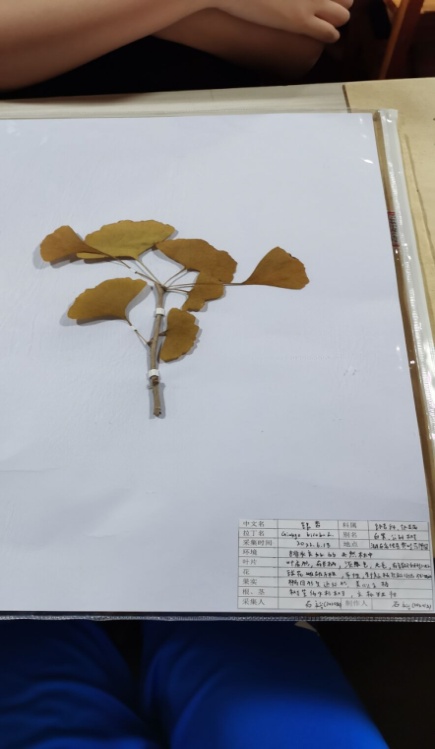 taptap官方网站