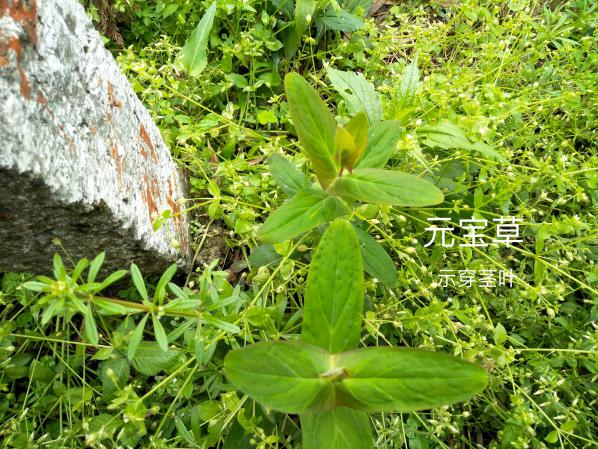 taptap官方网站