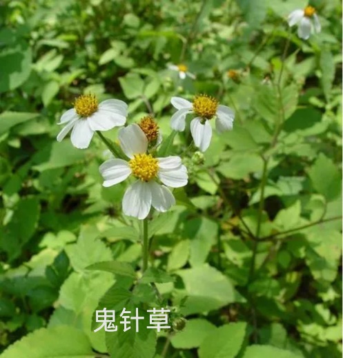 taptap官方网站