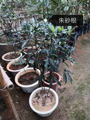 taptap官方网站