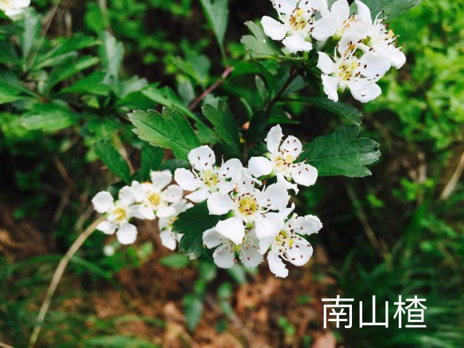 taptap官方网站