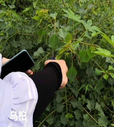 taptap官方网站