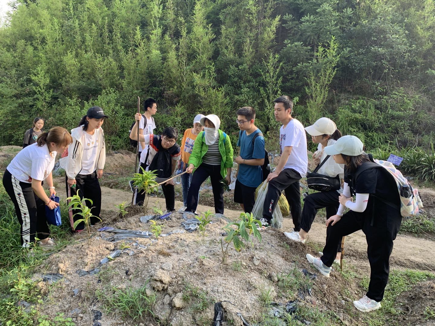 taptap官方网站